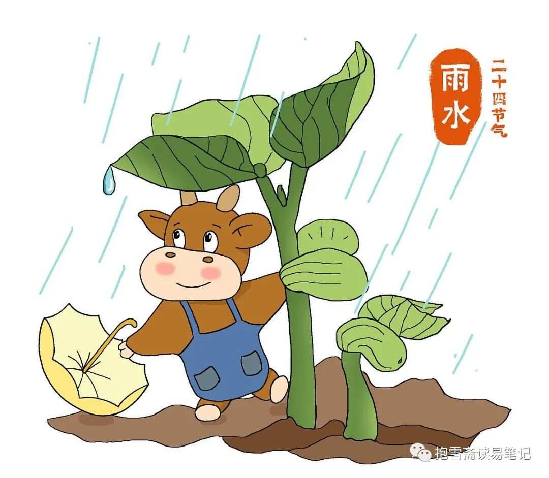 雨雨相对之生肖，揭秘生肖与雨水的神秘关联