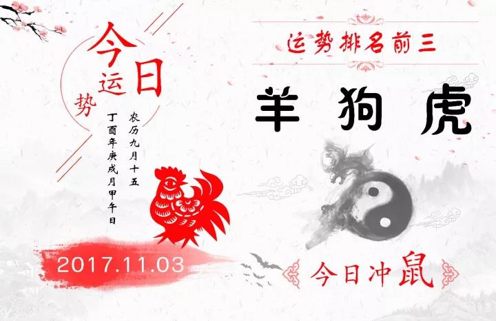 2月19日生肖运势解析，探寻每日运势轨迹