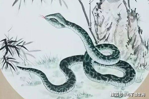 家传三宝定来发，揭秘生肖之谜的猜谜游戏