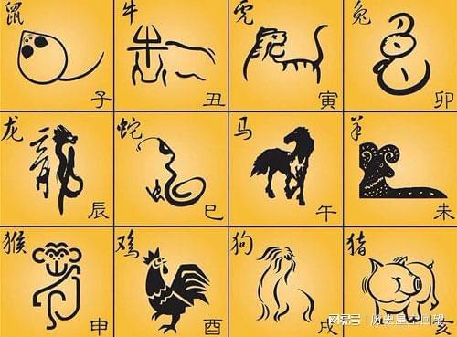 中看不中用的生肖，探究十二生肖特质与现象