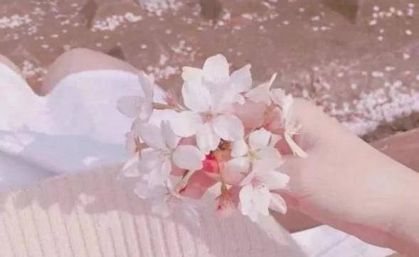 水象星座女性的独特魅力揭秘