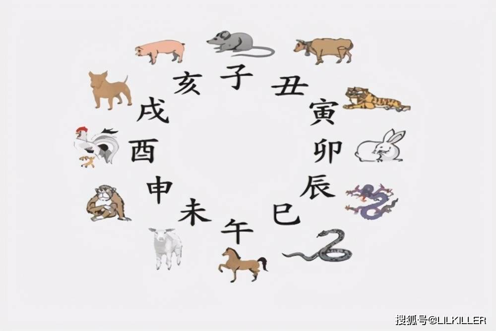 揭秘九肖云外玄机，探寻生肖传奇之谜