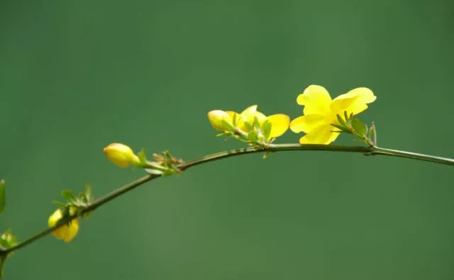 国际 第635页