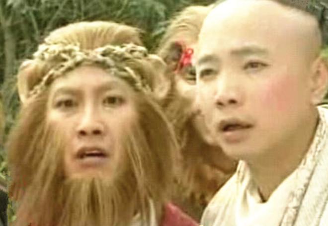 春光灿烂中的生肖之谜，猪八戒的猜生肖故事