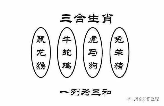 揭秘四亲六友与生肖的奥秘，四亲六友所属生肖揭晓