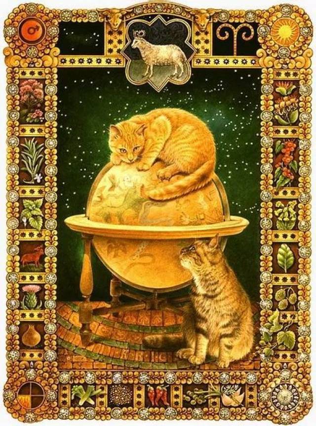 揭秘胖猫星座占星师，星象与命运之谜探寻者