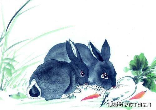 揭秘命运坎坷的生肖，一生清苦的背后故事