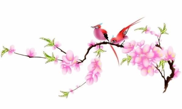 揭秘生肖魅力与桃花运，一生桃花最旺的生肖探寻