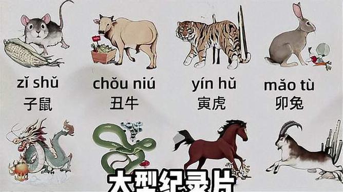 生肖蛇的祸从口出解析，祸福与言语之道探讨