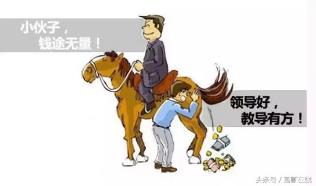 不吃肉生肖的独特生活态度与信仰