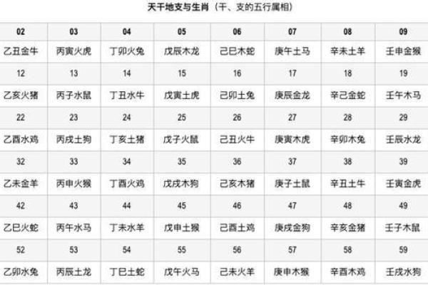 五行干支揭秘生肖奥秘，探寻神秘面纱下的生肖之谜