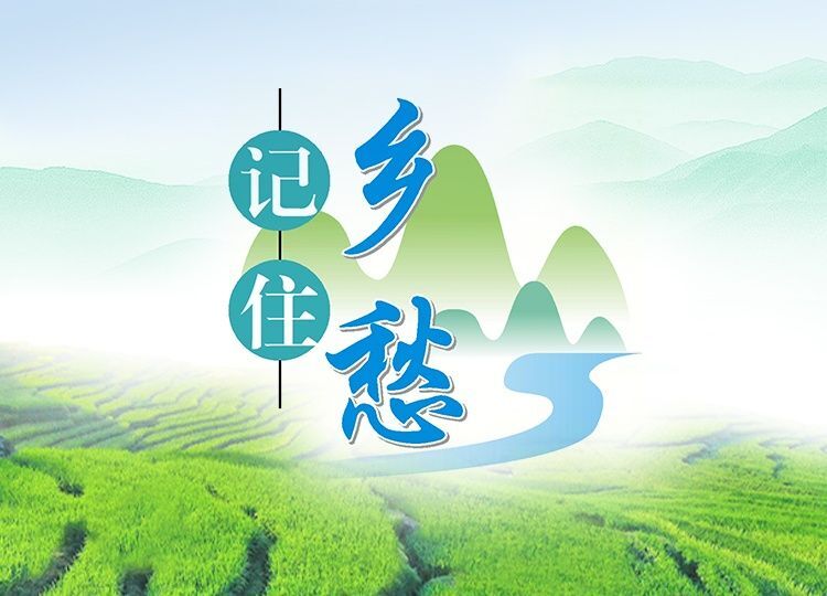 君阳山下的生肖奥秘与地域文化交融之美探索