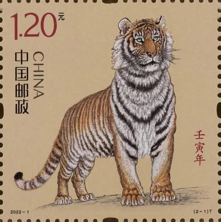 生肖龙，气宇轩昂的神秘动物