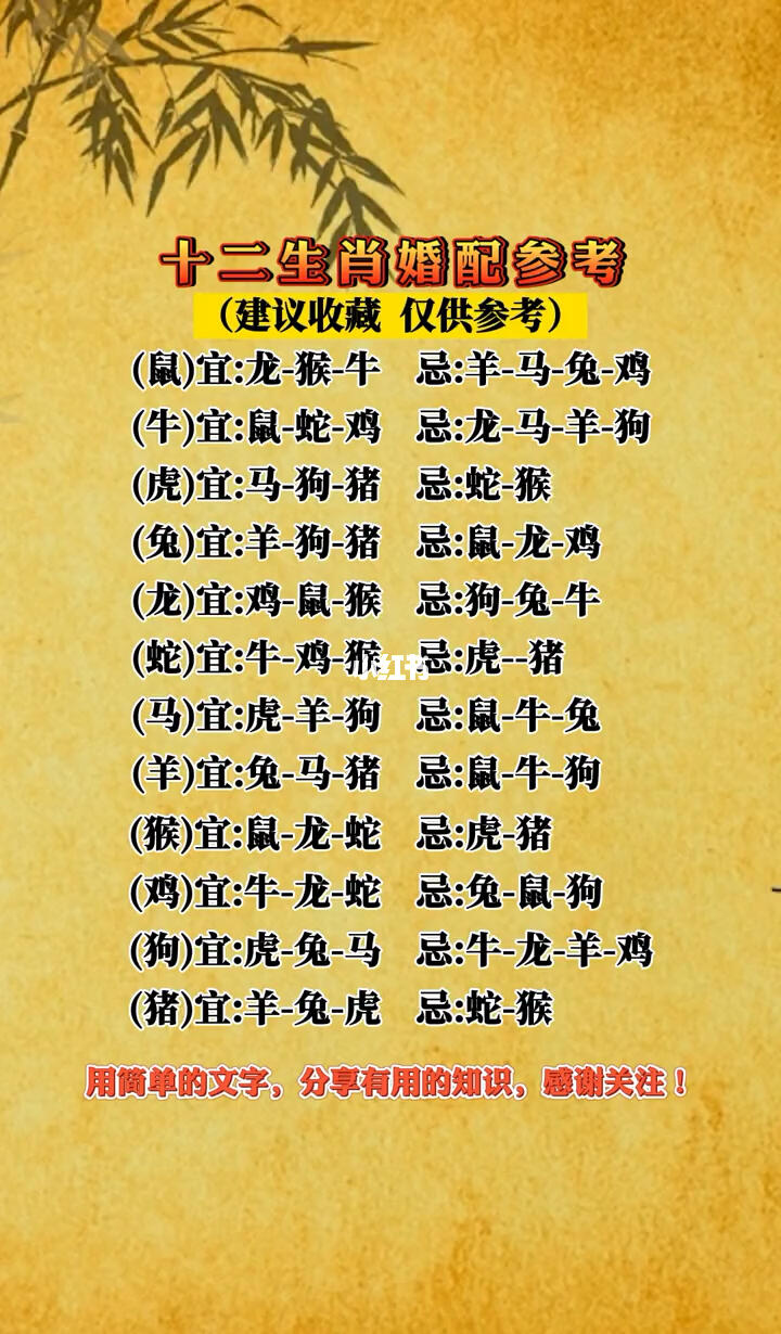 十二生肖的宜配与忌配指南