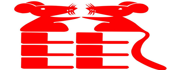 独字肖揭秘，探寻生肖文化中的神秘符号与独特生肖解读
