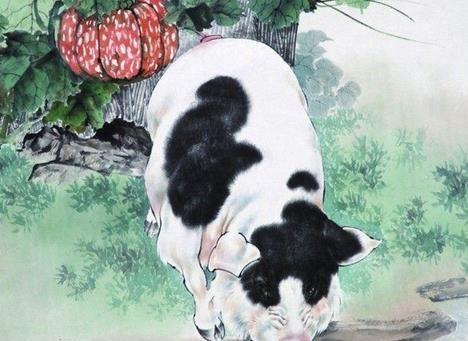 猪的富饶象征，丰衣足食的象征意义