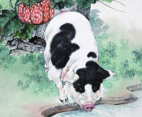 生肖之谜，独特象征下的骨头与肉之象征