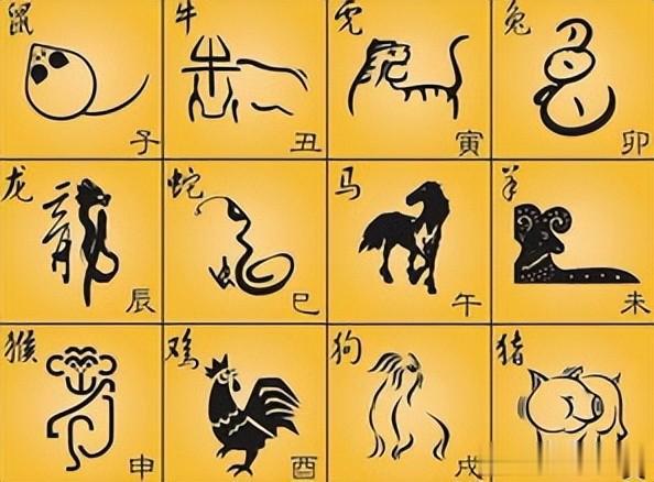 揭秘生肖尾巴拖地的神秘面纱，探寻背后的文化象征意义