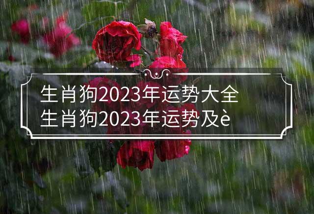 2023年生肖狗的运势展望，狗年运势大解析