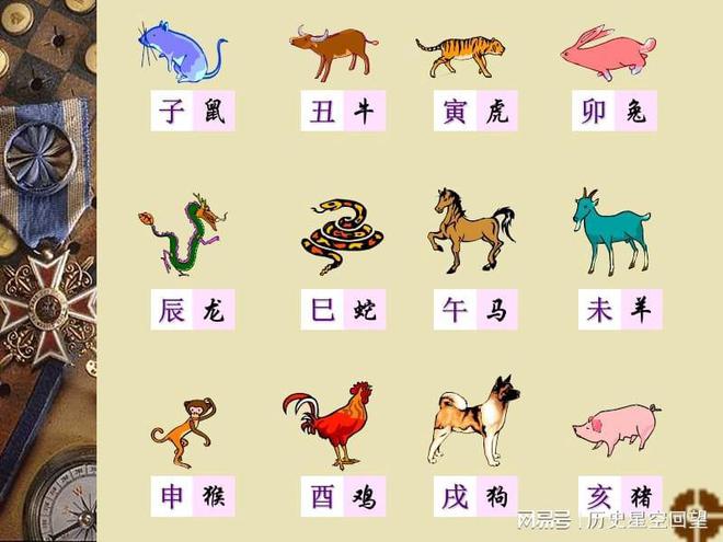 坚强的动物背后的生肖坚韧精神探索