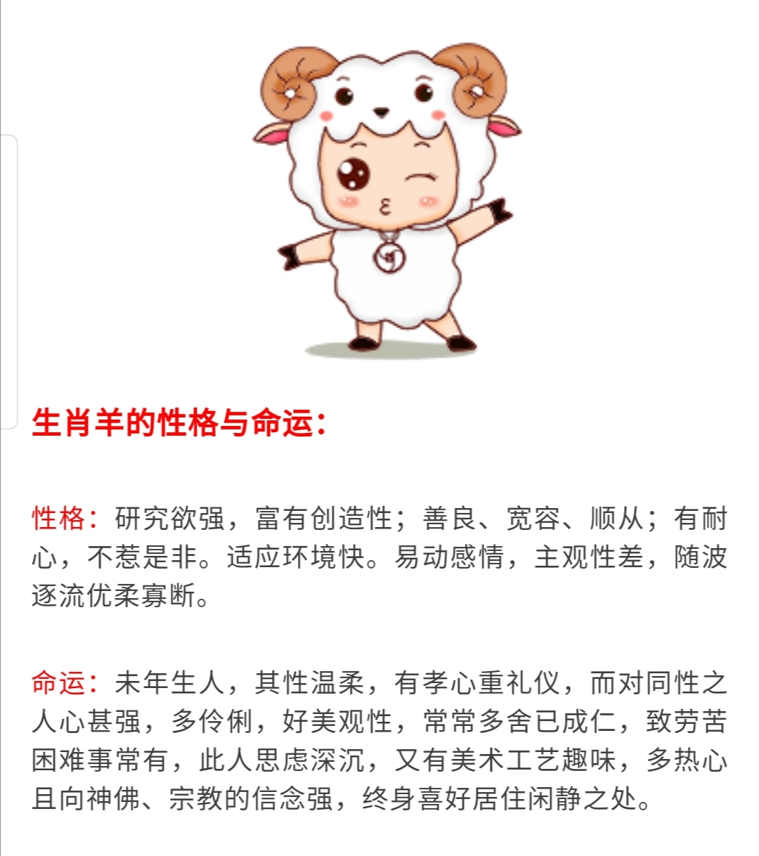 全心投入探寻生肖精神典范，生肖精神之典范解析