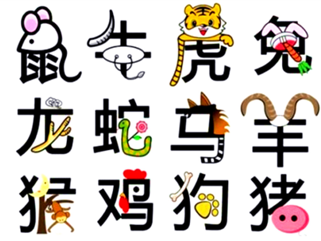 8日生肖运势全面解析