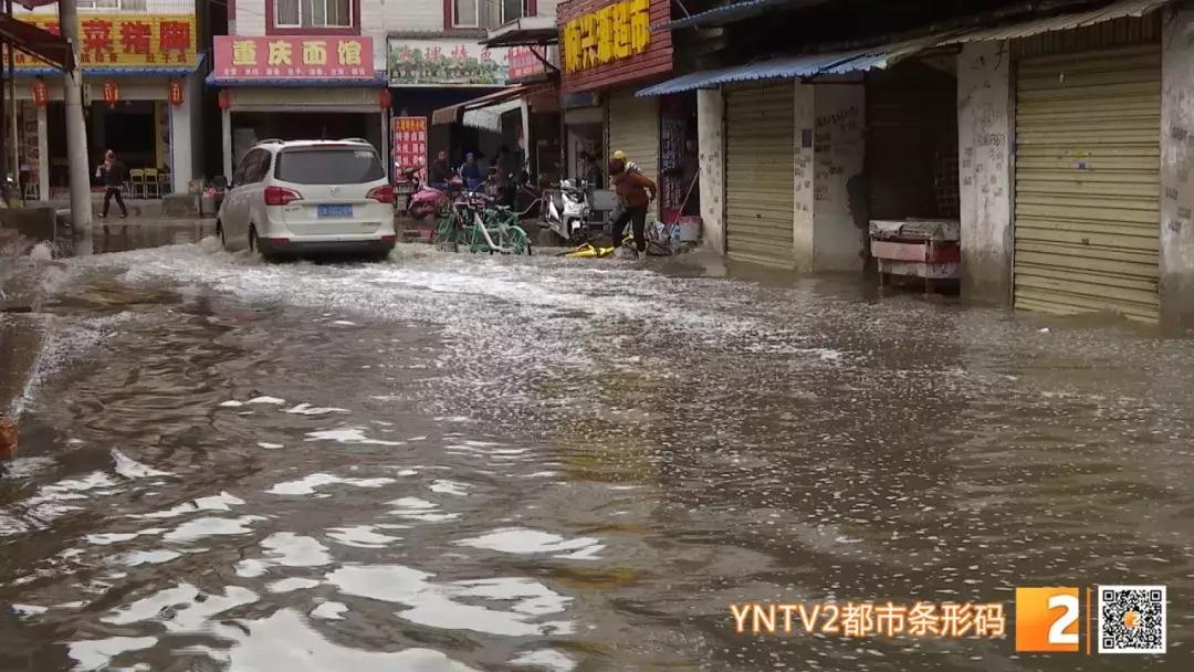 中国传统生肖文化中的夜肖概念解读，哪些生肖属于夜肖？