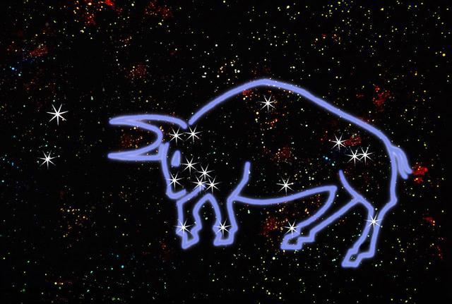 牛明明的星座之谜，个性与星象的交汇探索