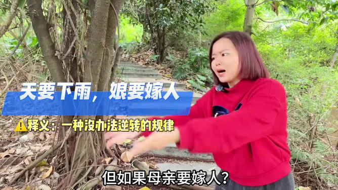 生肖与命运之谜，揭秘生肖之秘与娘嫁人的隐喻