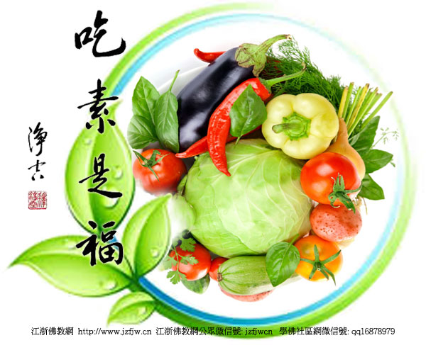 素食生肖揭秘，探寻生肖中的素食文化与神秘吃素生肖