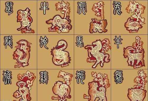 揭秘生肖奥秘，人定胜天的生肖解析