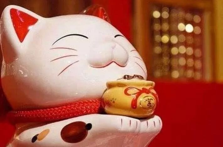 黄道财迷心窍之谜，揭秘生肖财迷心窍的独特现象