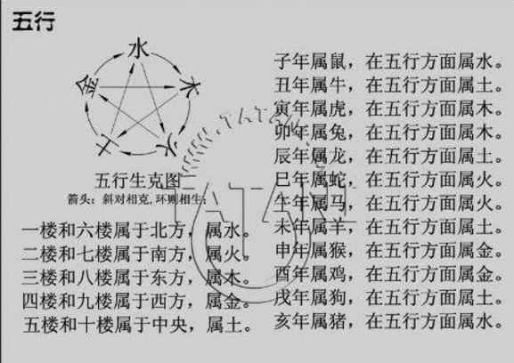 墨子生辰八字深度解析