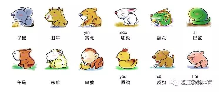 今年三十属什么生肖？揭秘生肖轮回与命运之谜