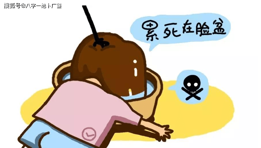 眼高手低与生肖，理想与现实的探索