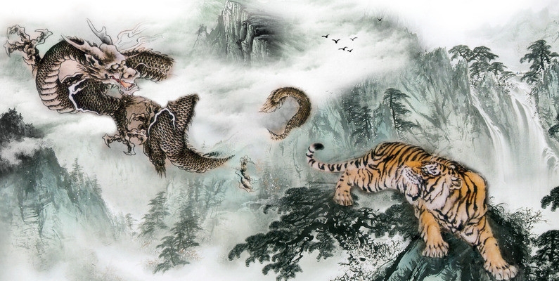 揭秘生肖龙虎间的神秘互动，龙虎相斗背后的故事与寓意