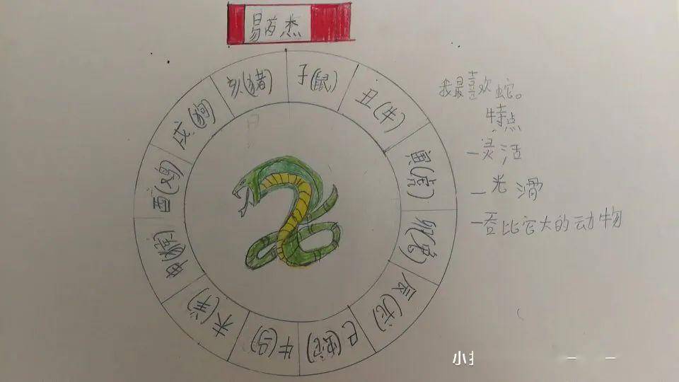 深度解读，一点就透的生肖特质——智慧与敏锐的象征
