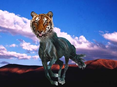 探秘生肖魅力，马马虎虎的魅力所在