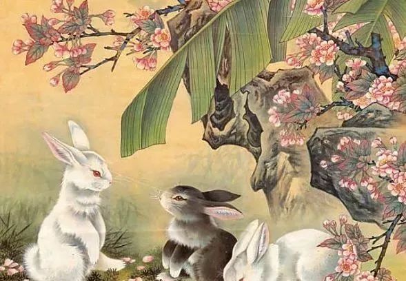探寻生肖文化中的边缘与内涵，揭秘无地位生肖的神秘面纱