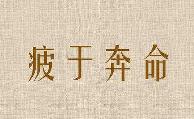 揭秘疲于奔命的生肖，命运交织下的忙碌生活