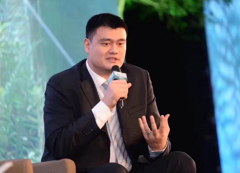 生肖与命运，无心插柳柳成荫的奇妙缘分探寻