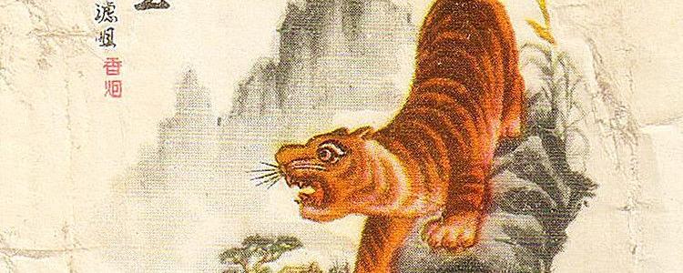 山中之王与生肖传奇，揭秘山中之王的生肖秘密
