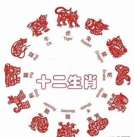 揭秘生肖秘密，一命二连三风水与生肖的神秘联系——生肖奥秘揭秘专题