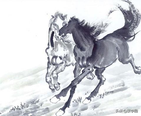揭秘尾巴翘上天背后的生肖传奇，揭秘生肖与尾巴翘上天的秘密