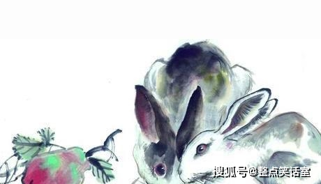 十二生肖母亲代表的文化象征与深层含义