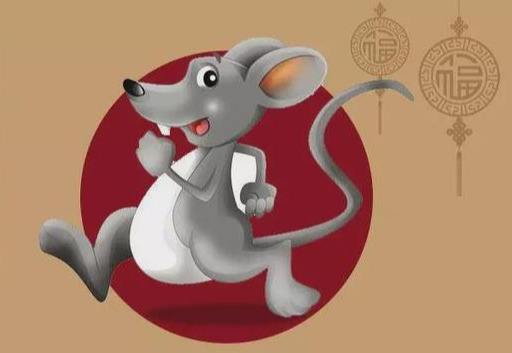 生肖鼠的独特魅力与挑战，敬而远之的魅力解读