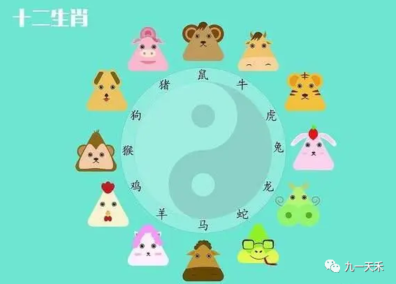 生肖相破的危害详解，影响与后果探讨