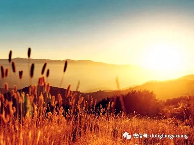 日落之际揭秘生肖奥秘，哪些生肖属于日落生肖？