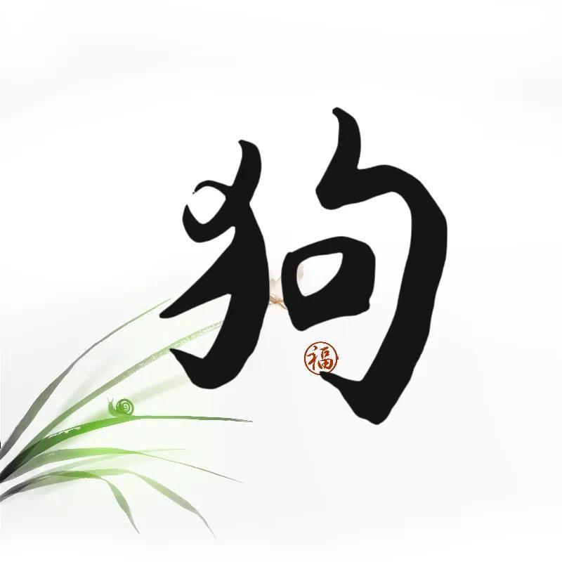 十二生肖相冲相害相刑深度解析与解析之道