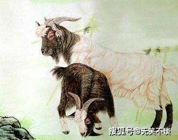 死不足惜的生肖，揭秘命运密码